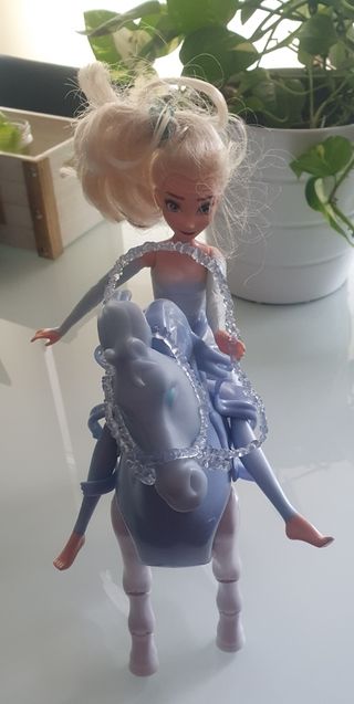 Caballo frozen