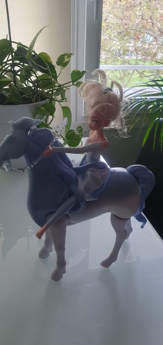 Caballo frozen