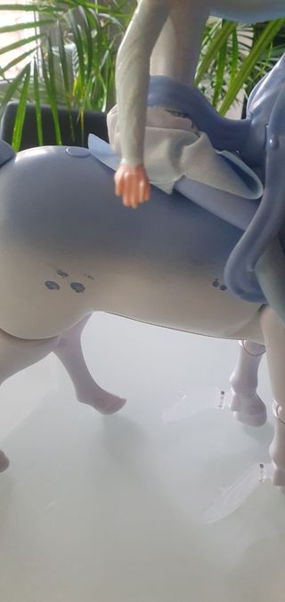 Caballo frozen