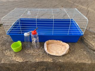 Jaula conejo