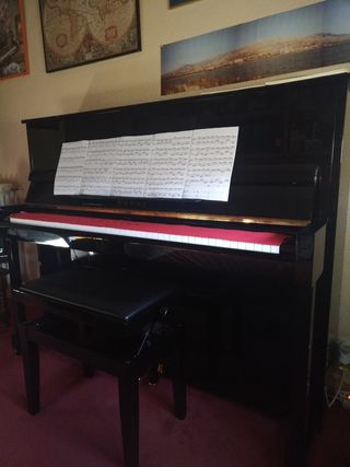 Profesor piano y solfeo