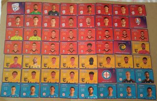 cromo champions 06-07 y liga australia 19-20