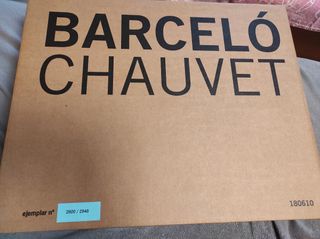 LOS FELINOS DE BARCELÓ