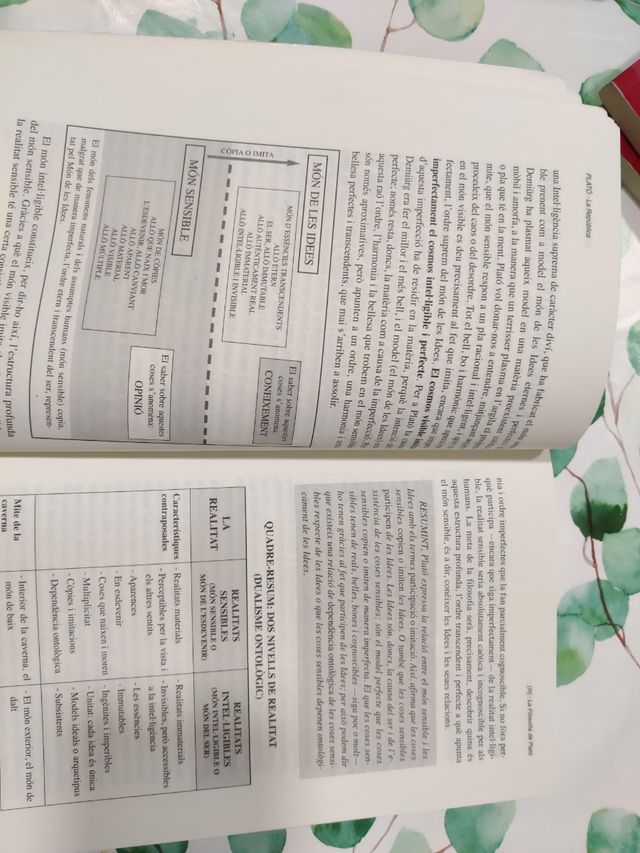 Libro Filosofía Platón 2° Bachiller