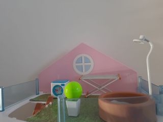 Casita barriguitas 