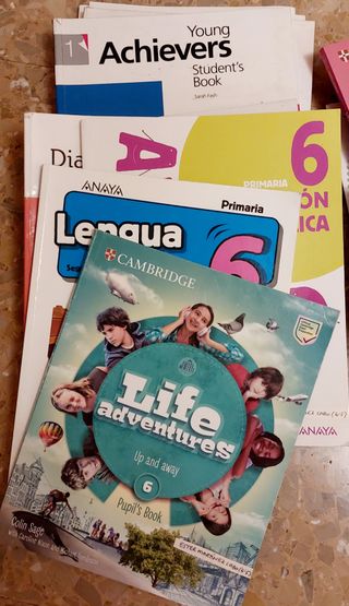 Lote LIBROS PRIMARIA