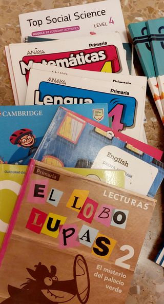 Lote LIBROS PRIMARIA