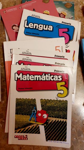 Lote LIBROS PRIMARIA