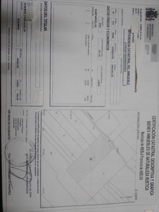 Terreno, carretera Niebla - Rociana