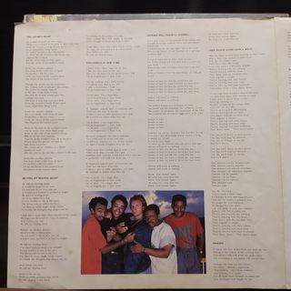 Disco vinilo Sting