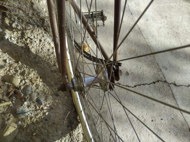 Bicicleta Clásica fixie