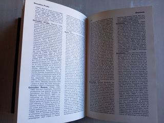 Diccionario de Literatura Universal. Anaya