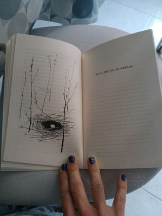 La gallina que sonaba con volar