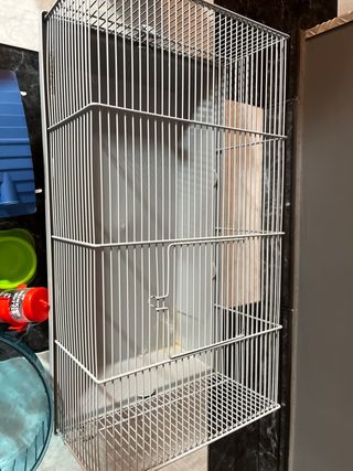 PACK JAULA HAMSTER