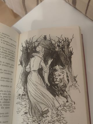 Libro Cuentos de Grimm