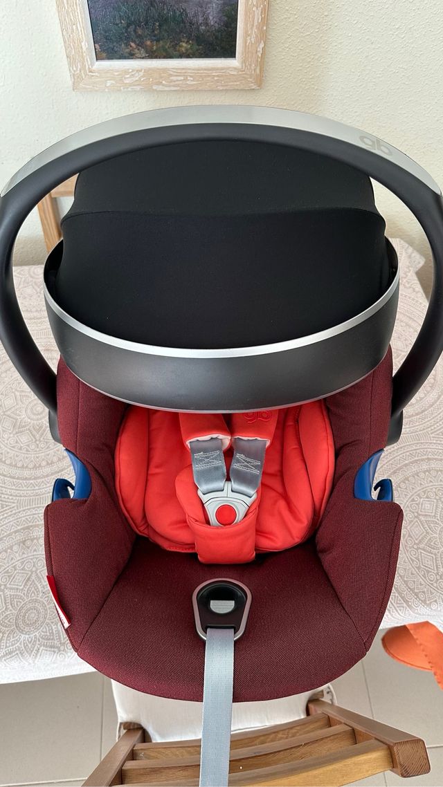 Huevo bebé - Grupo 0+