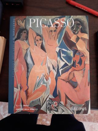 Libri Picasso
