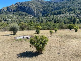 Terreno en venta, en Llosa de Camacho , pertenece