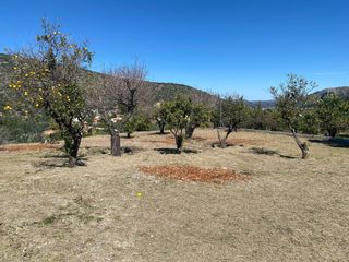Terreno en venta, en Llosa de Camacho , pertenece