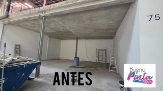 Pintor profesional, alisador, lacador