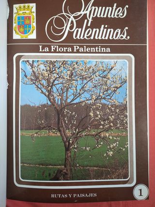 LIBROS 6 TOMOS "APUNTES PALENTINOS" PALENCIA 1983