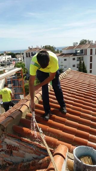 Cubiertas y tejas TLF.651429938