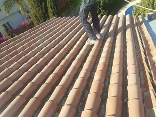 Cubiertas y tejas TLF.651429938