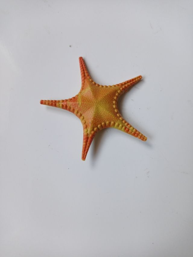 Imán estrella de mar