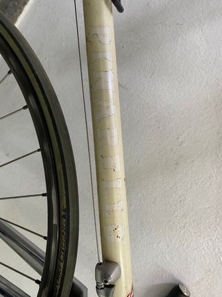 Bici da corsa