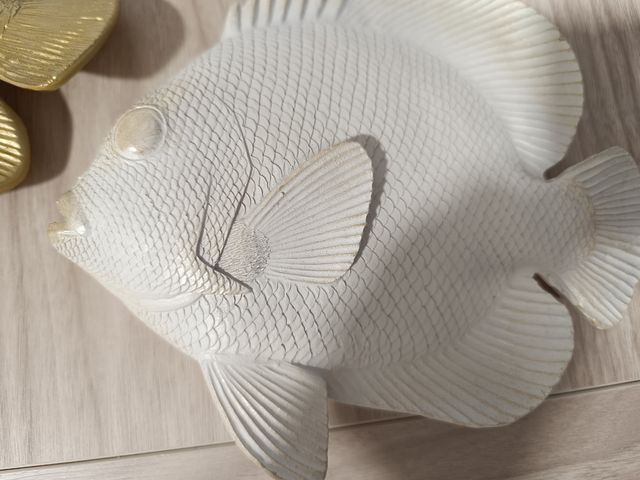 Peces , decoración pared