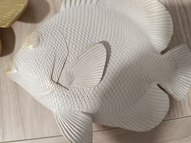 Peces , decoración pared