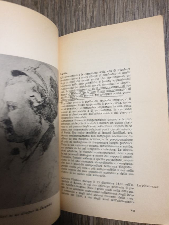 Libro "Madame Bovary"