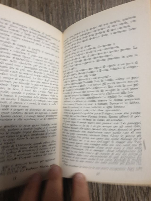 Libro "Madame Bovary"