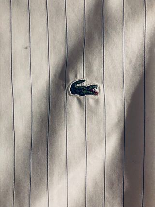 Camisa Lacoste