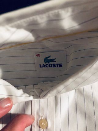 Camisa Lacoste