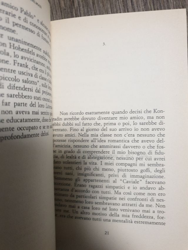 Libro "L'amico ritrovato"