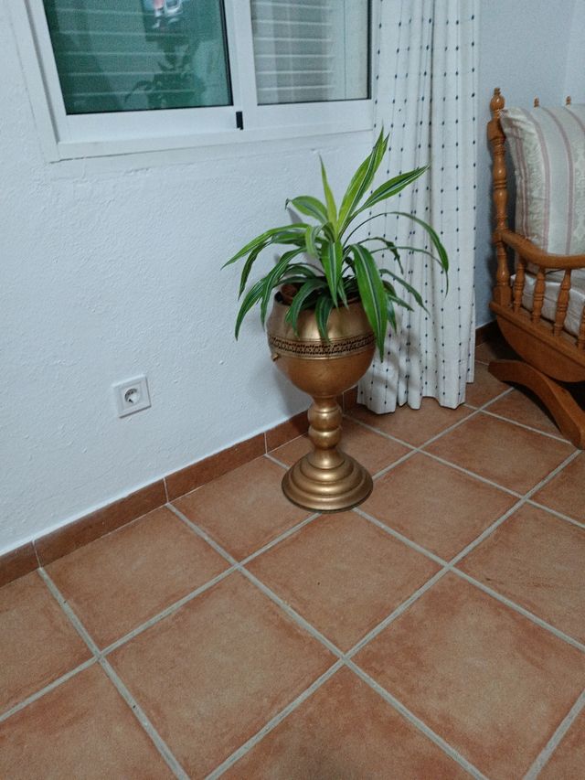 Macetero de latón