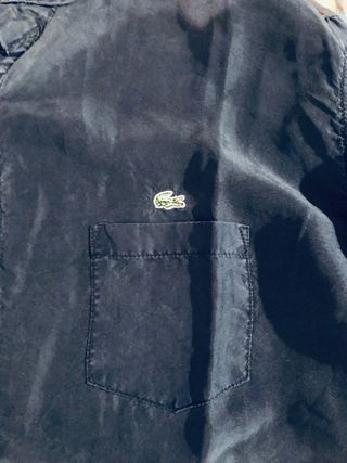 Camisa seda Lacoste