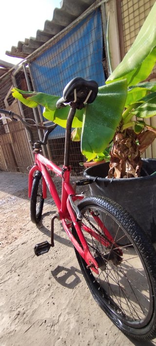 BMX hth 360
