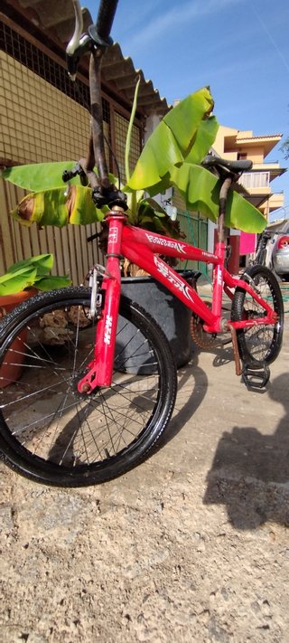 BMX hth 360