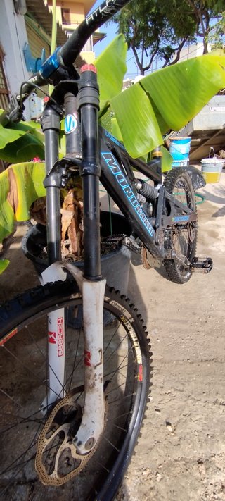 Mondraker level