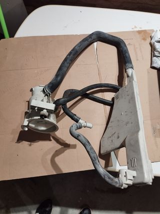 Goma filtro lavadora Miele