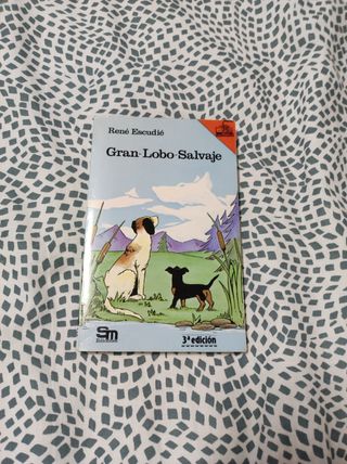 libro lectura del barco de Vapor