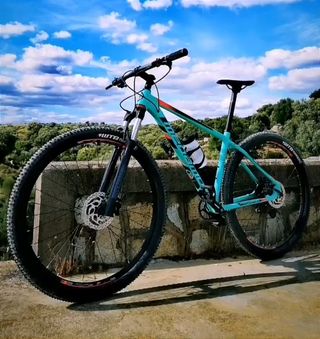 Megamo Natural Elite Eagle 15 (21) 29"