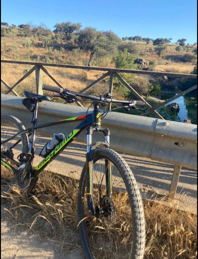 Bicicleta Megamo 29 pulgadas