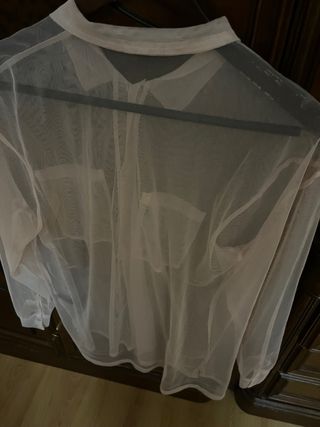 camisa, rosa, transparente Undiz