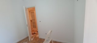 Pintor Económico Pladurista