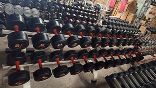 LA MEJOR CALIDAD Y MEJORES PRECIOS