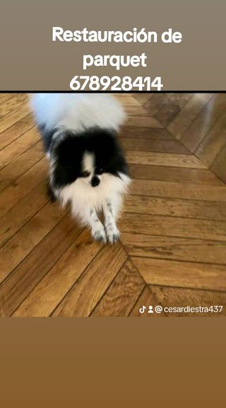 PULIDO PARQUETS,RESTAURACIÓN PARQUETS Y TARIMAS