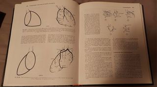 Bases de la Medicina Interna
